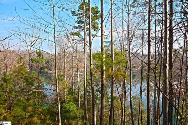 $499,000 | 106 St Christopher Court, Sunset, SC 29685