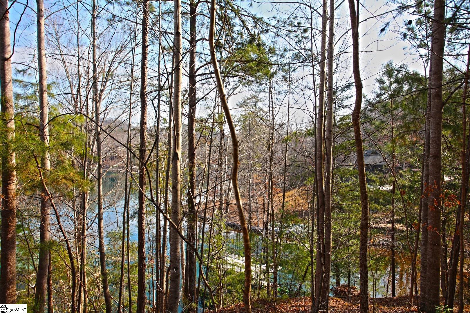 106 St Christopher Court Sunset, SC 29685 - Photo 34 of 50