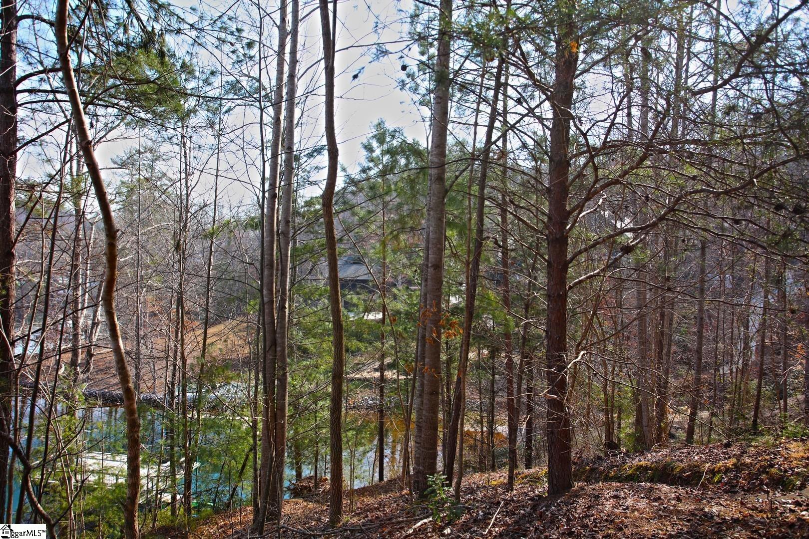 106 St Christopher Court Sunset, SC 29685 - Photo 35 of 50