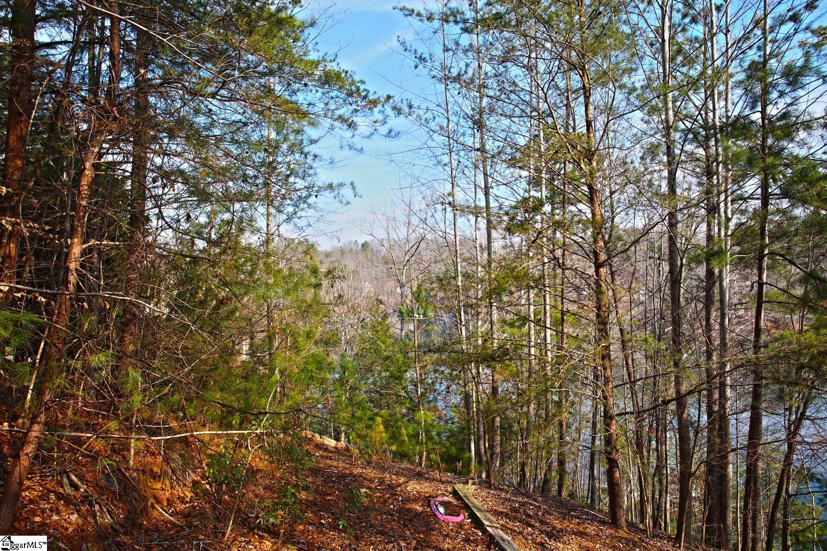 106 St Christopher Court Sunset, SC 29685 - Photo 36 of 50