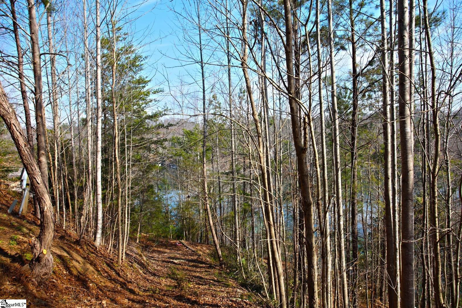 106 St Christopher Court Sunset, SC 29685 - Photo 37 of 50