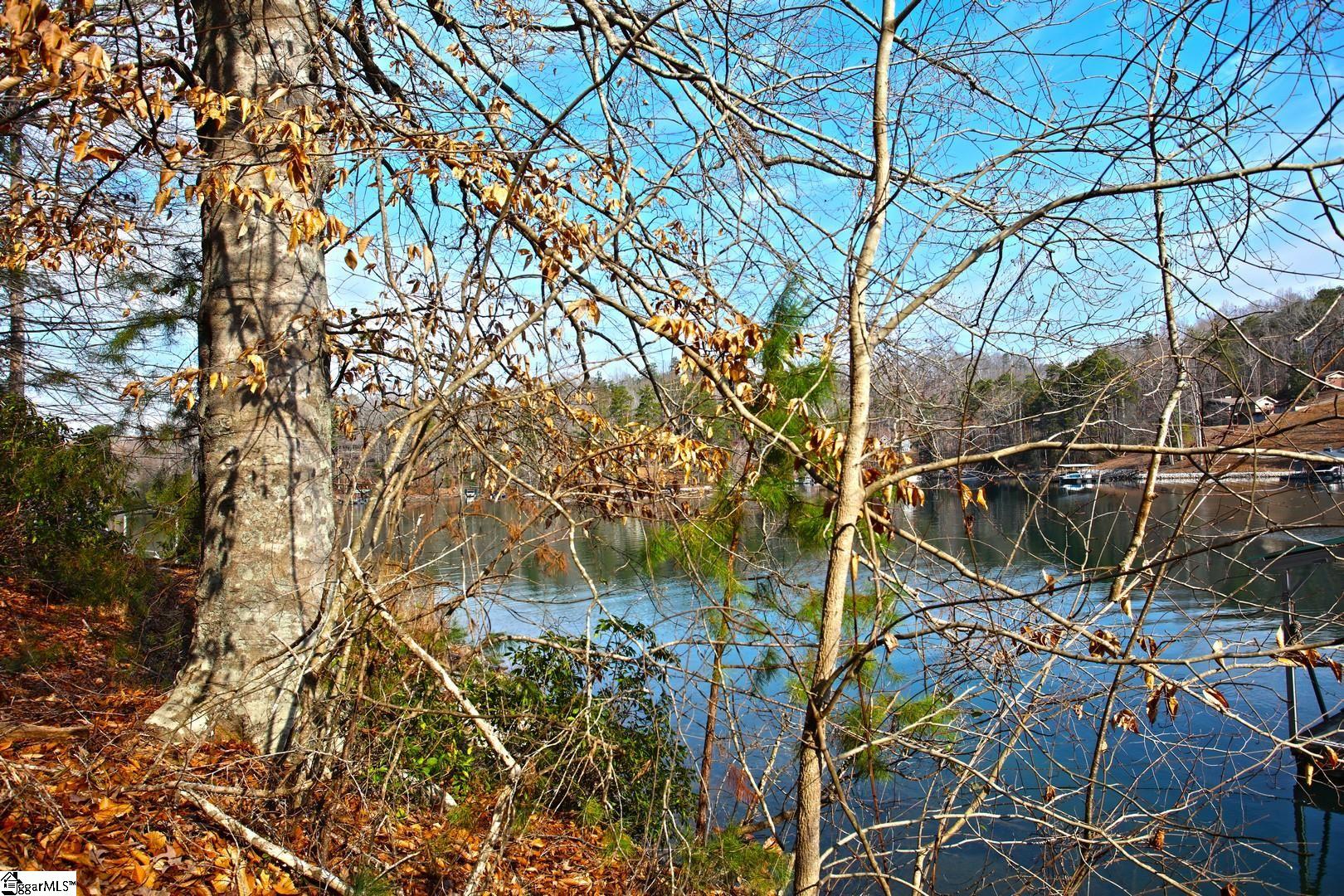 106 St Christopher Court Sunset, SC 29685 - Photo 39 of 50