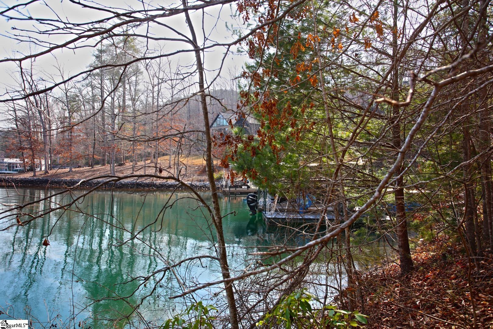 106 St Christopher Court Sunset, SC 29685 - Photo 42 of 50