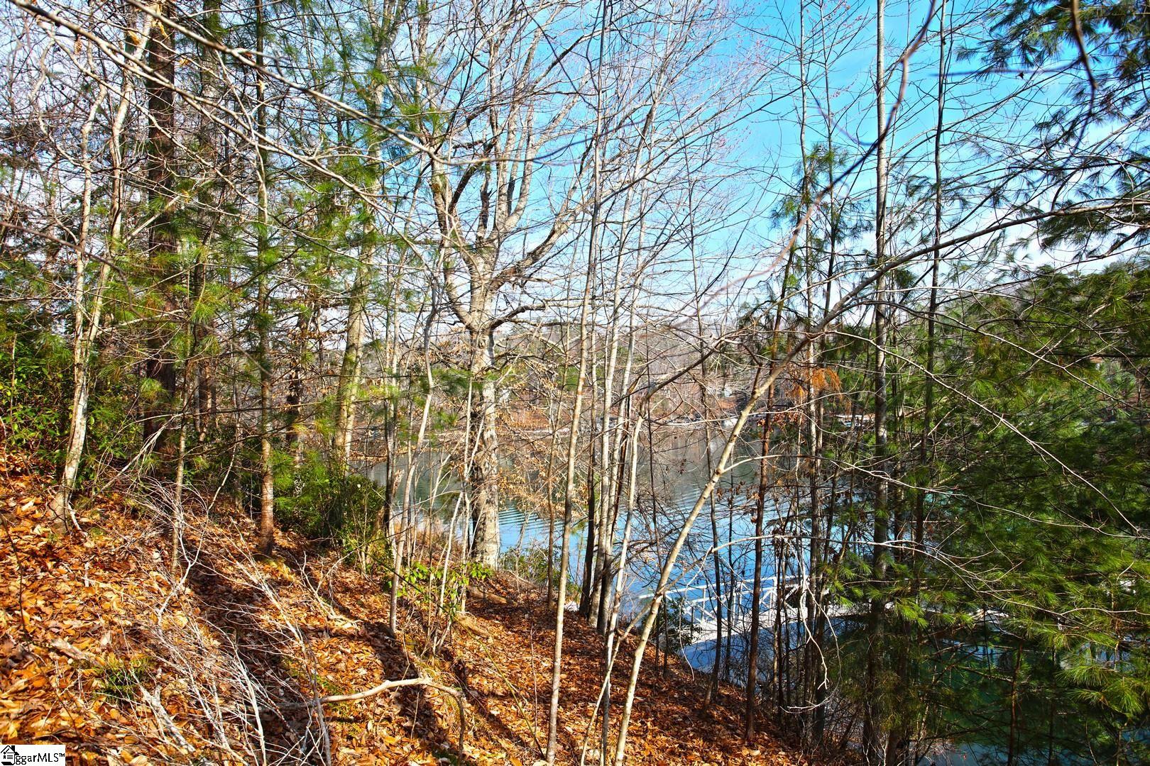 106 St Christopher Court Sunset, SC 29685 - Photo 44 of 50