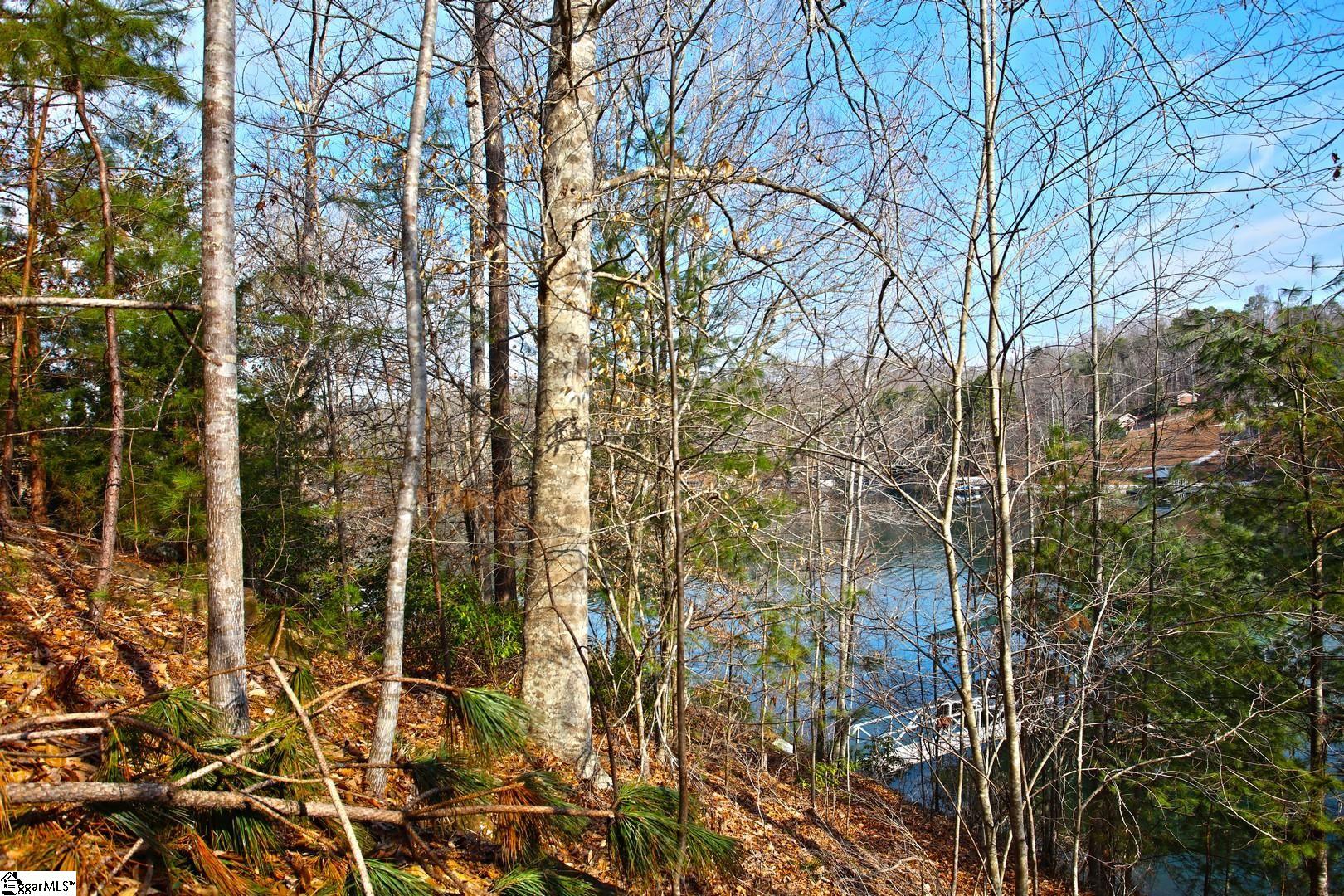 106 St Christopher Court Sunset, SC 29685 - Photo 45 of 50