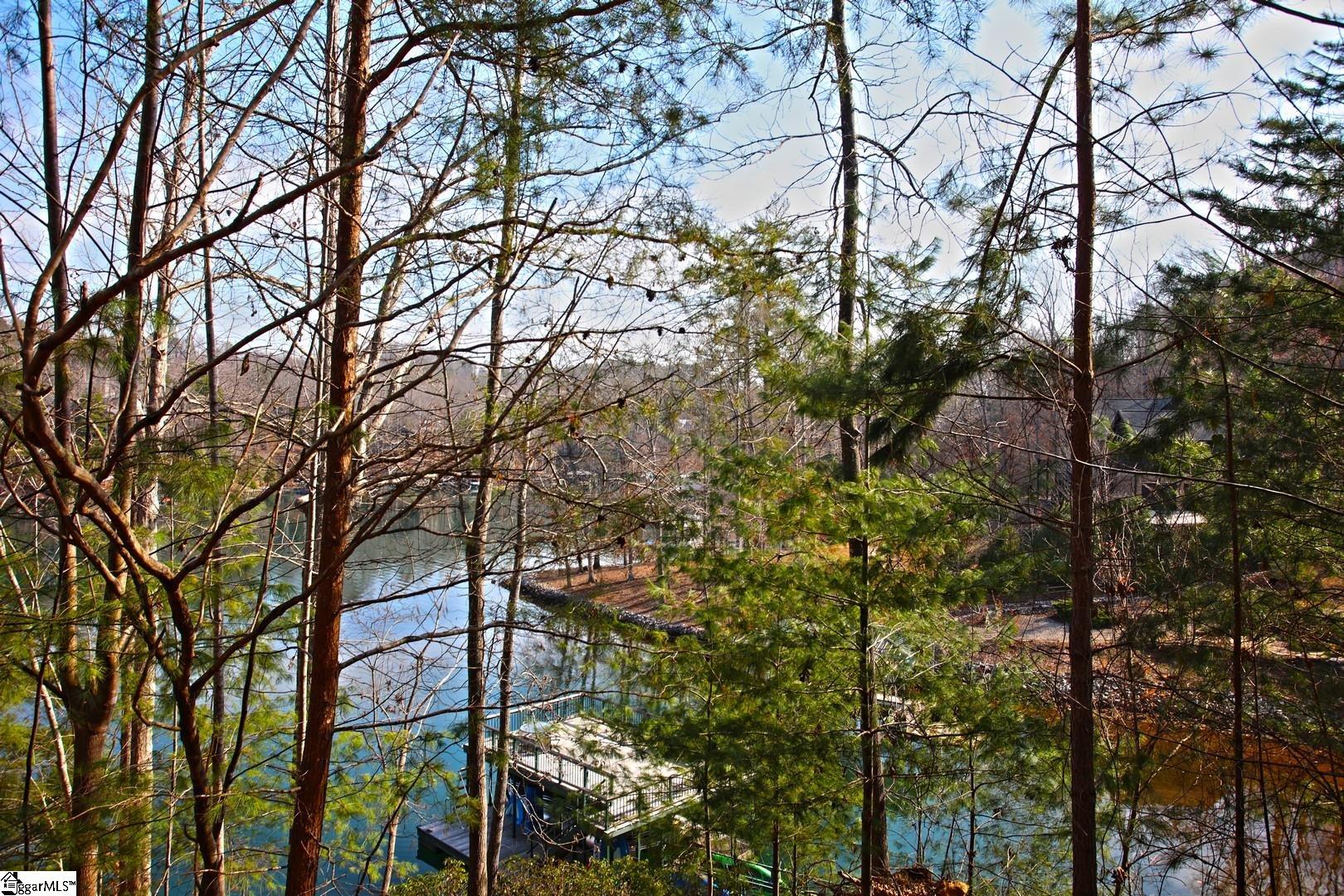 106 St Christopher Court Sunset, SC 29685 - Photo 46 of 50