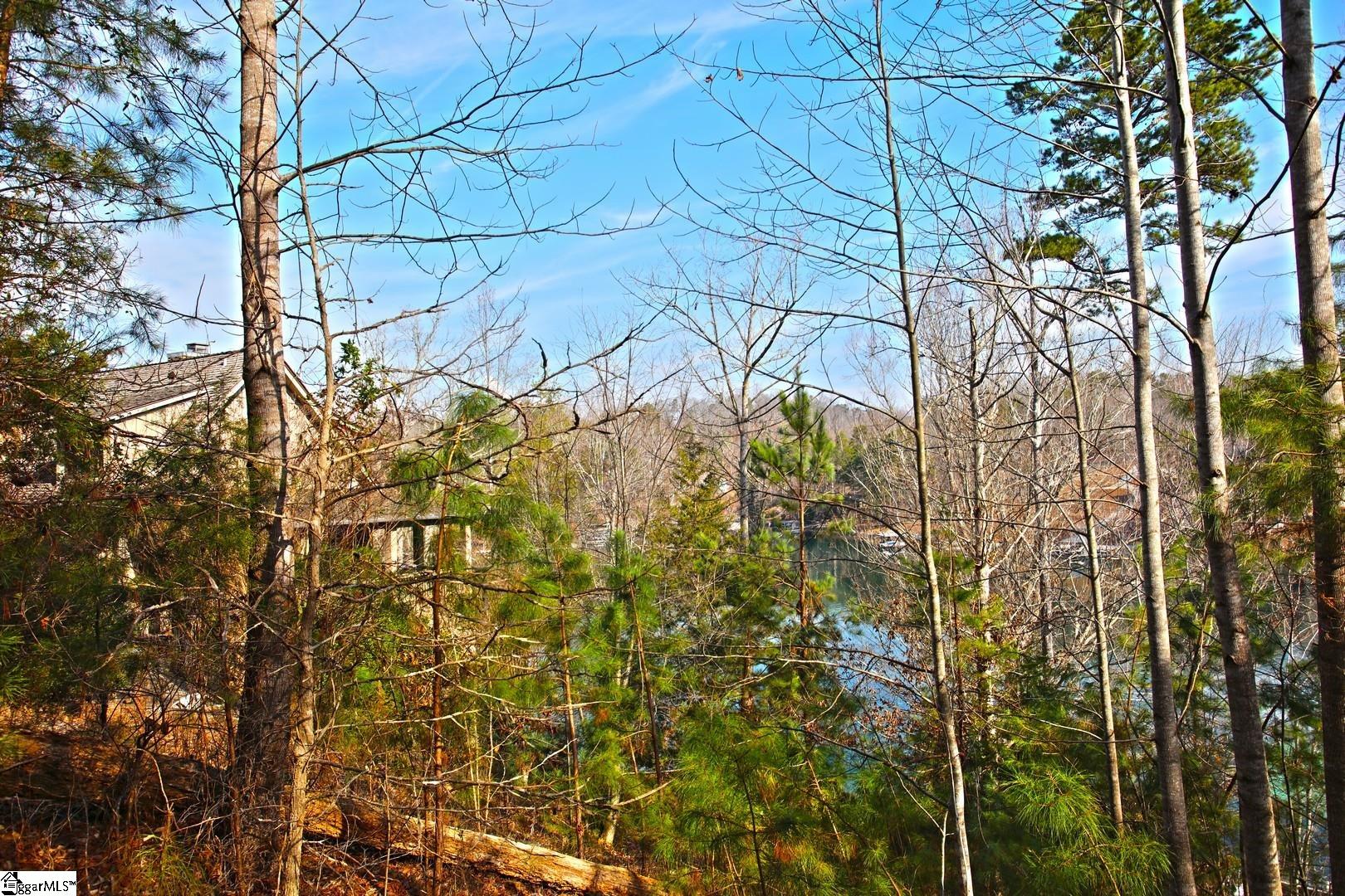 106 St Christopher Court Sunset, SC 29685 - Photo 47 of 50