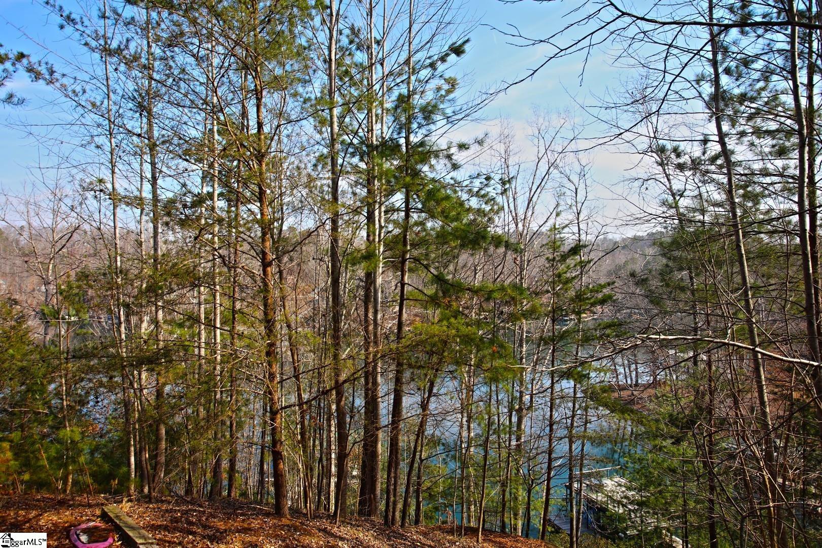 106 St Christopher Court Sunset, SC 29685 - Photo 48 of 50