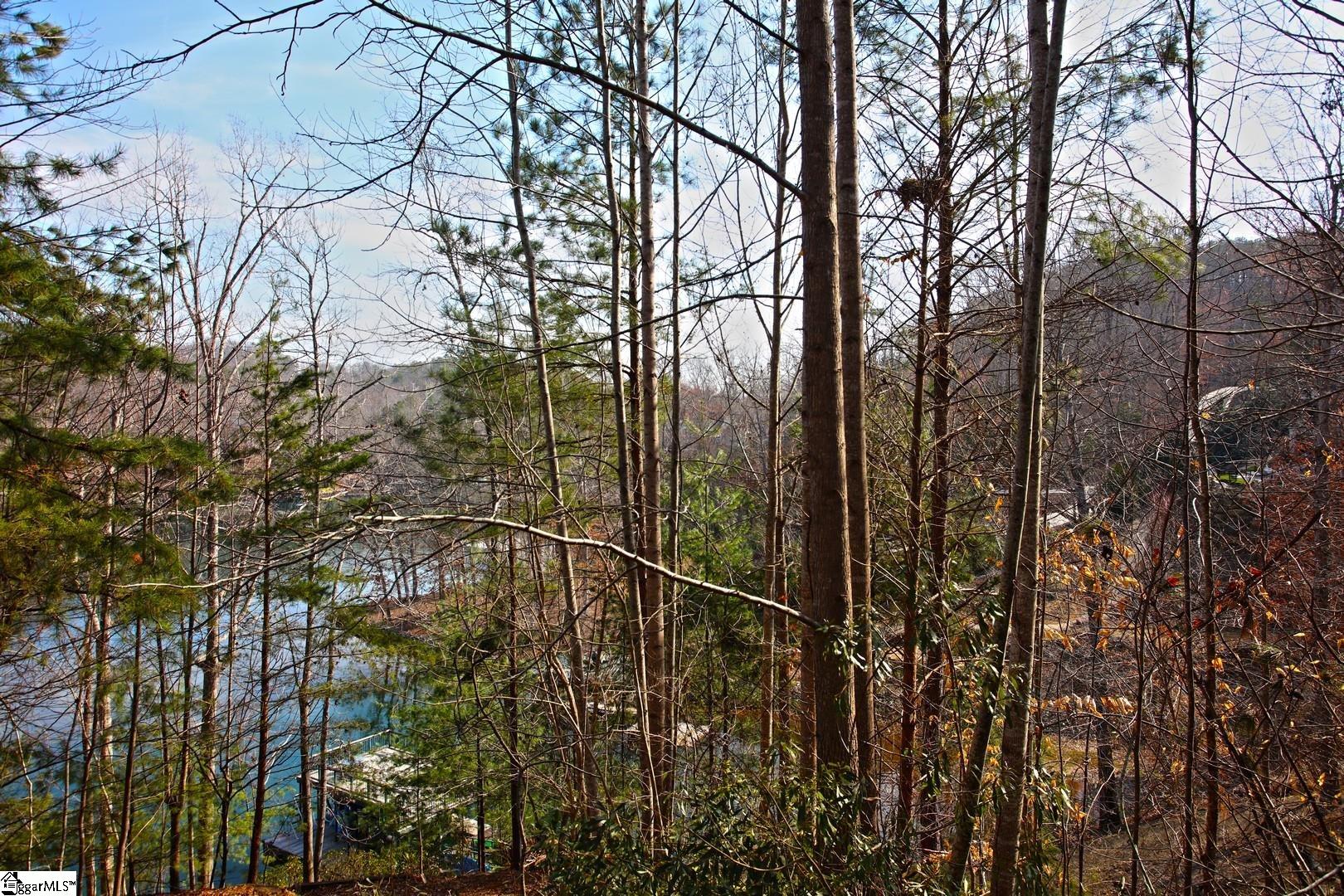 106 St Christopher Court Sunset, SC 29685 - Photo 49 of 50