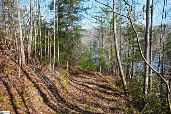 $499,000 | 106 St Christopher Court, Sunset, SC 29685