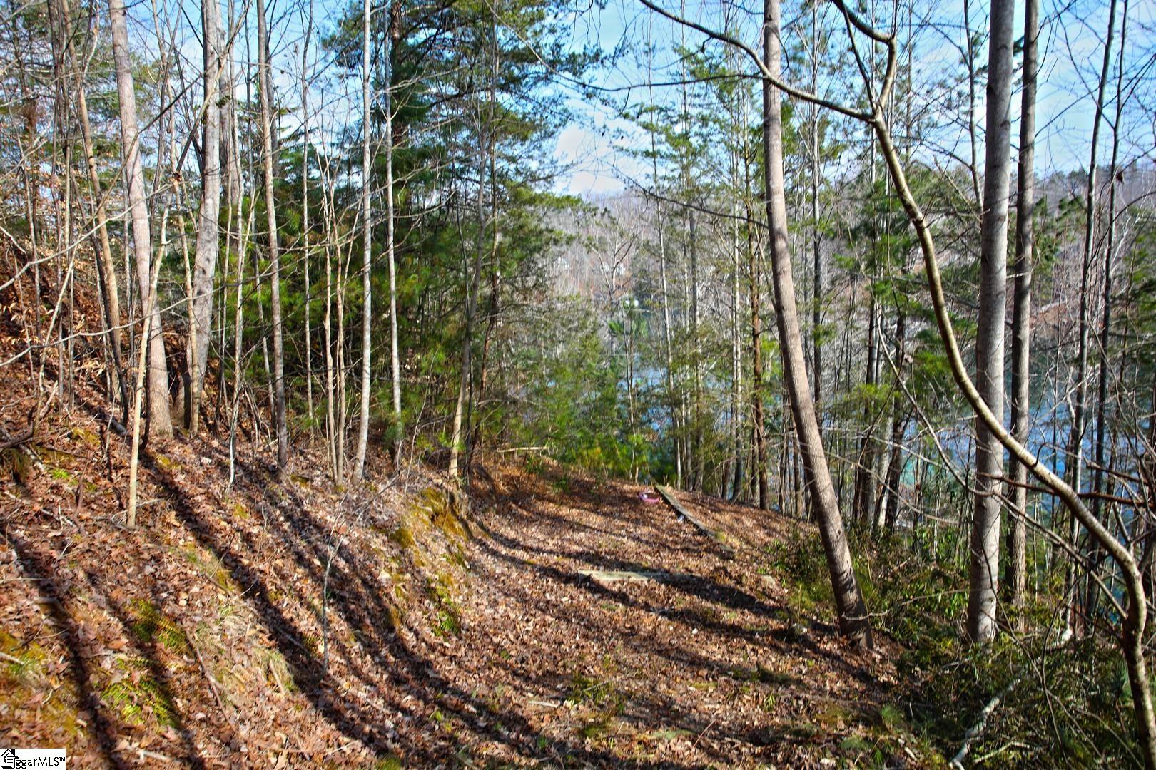 106 St Christopher Court Sunset, SC 29685 - Photo 50 of 50