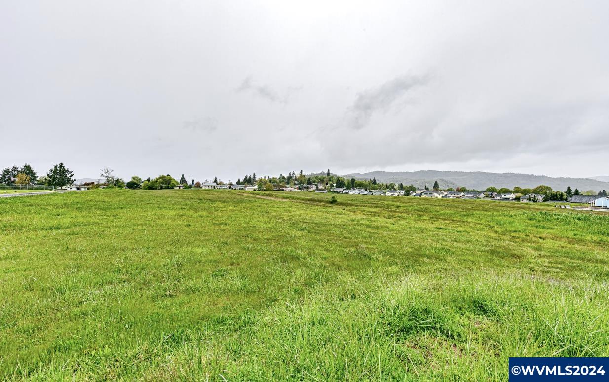 Southeast Johnson Street Winston, OR 97496 - Photo 4 of 5