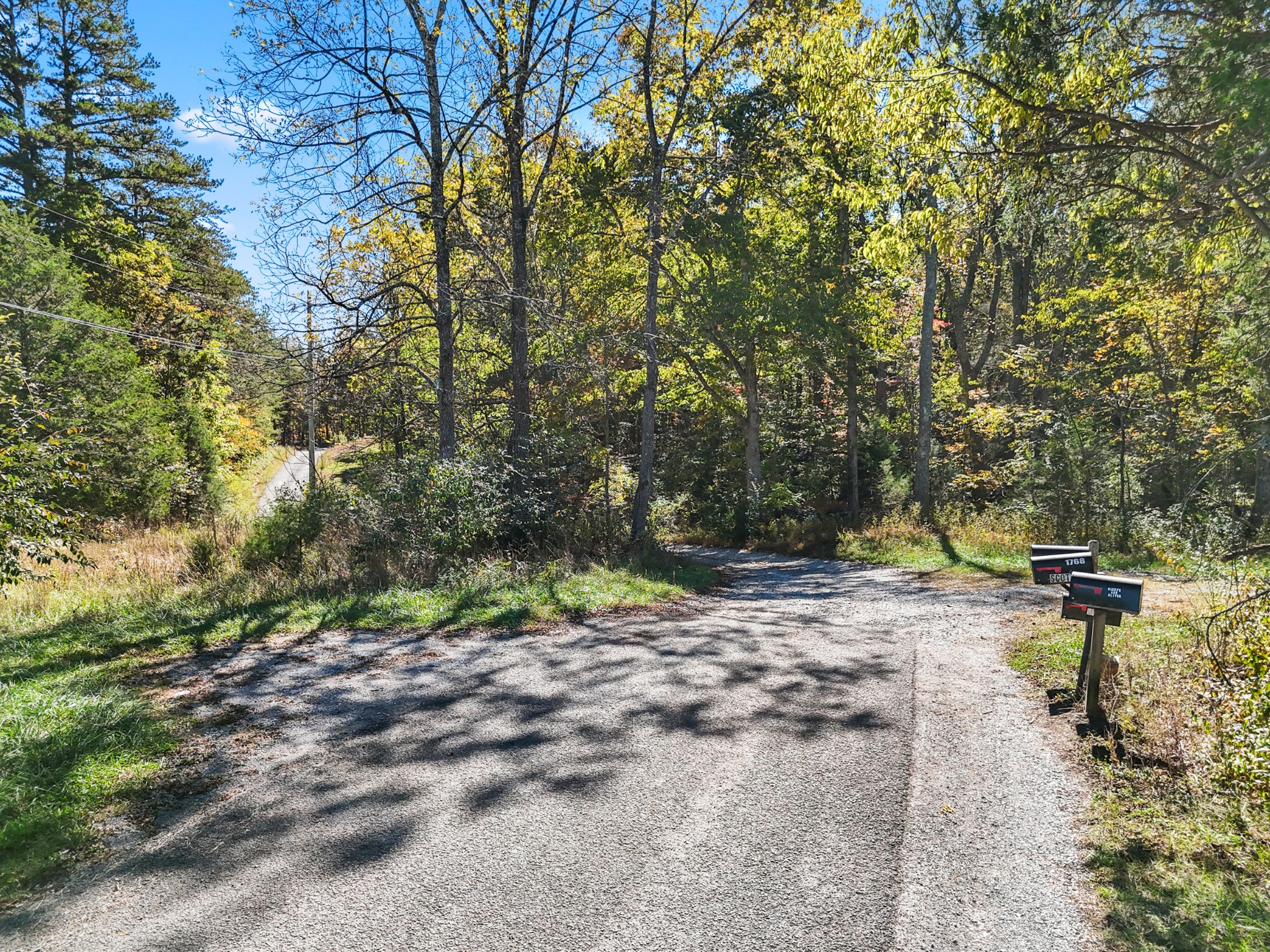 2131 Stewart Road Graysville, TN 37338 - Photo 17 of 21 a view of a yard with plants and trees