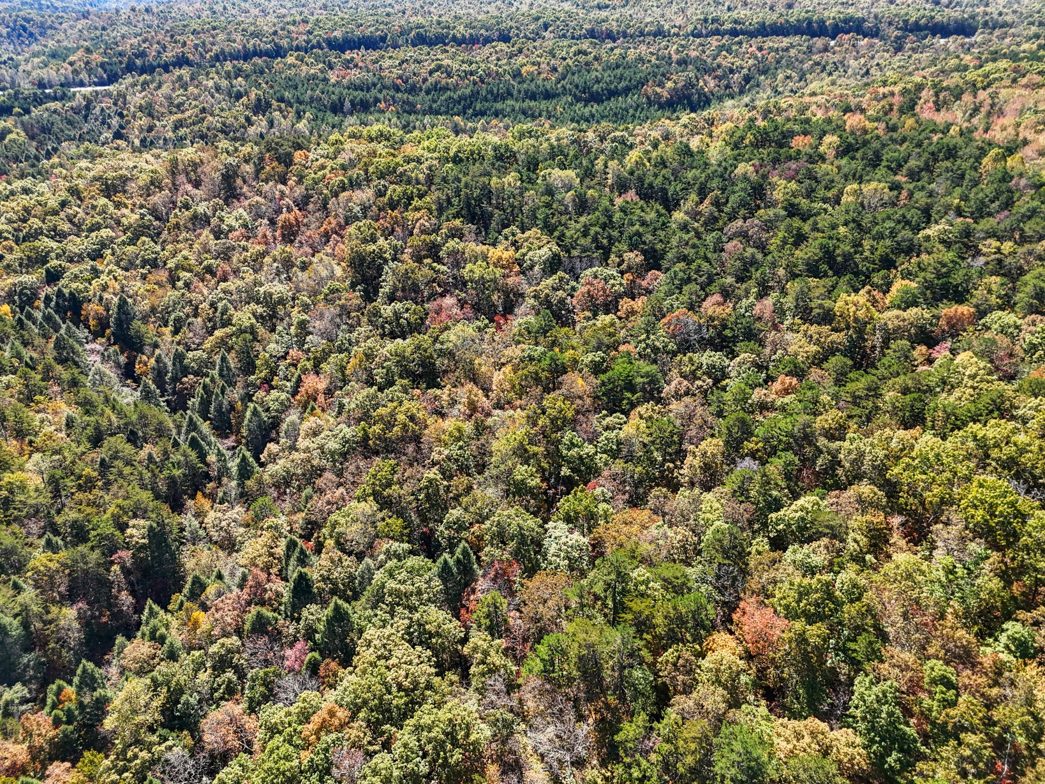 2131 Stewart Road Graysville, TN 37338 - Photo 18 of 21