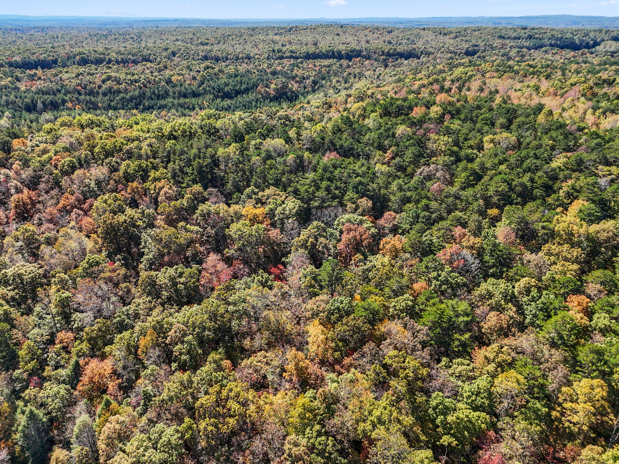 2131 Stewart Road Graysville, TN 37338 - Photo 20 of 21 an aerial view of forest