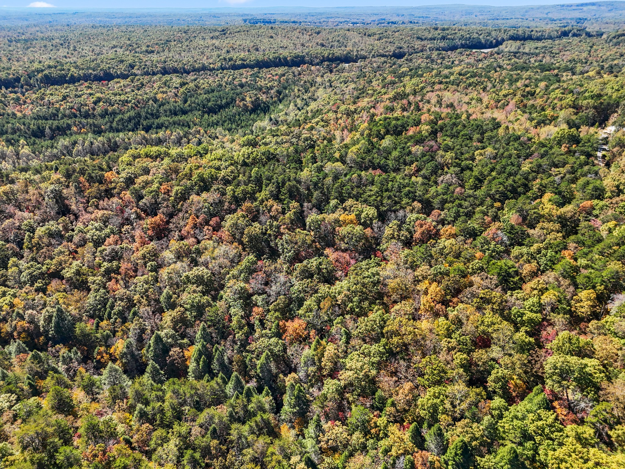 2131 Stewart Road Graysville, TN 37338 - Photo 21 of 21 an aerial view of a houses with a yard