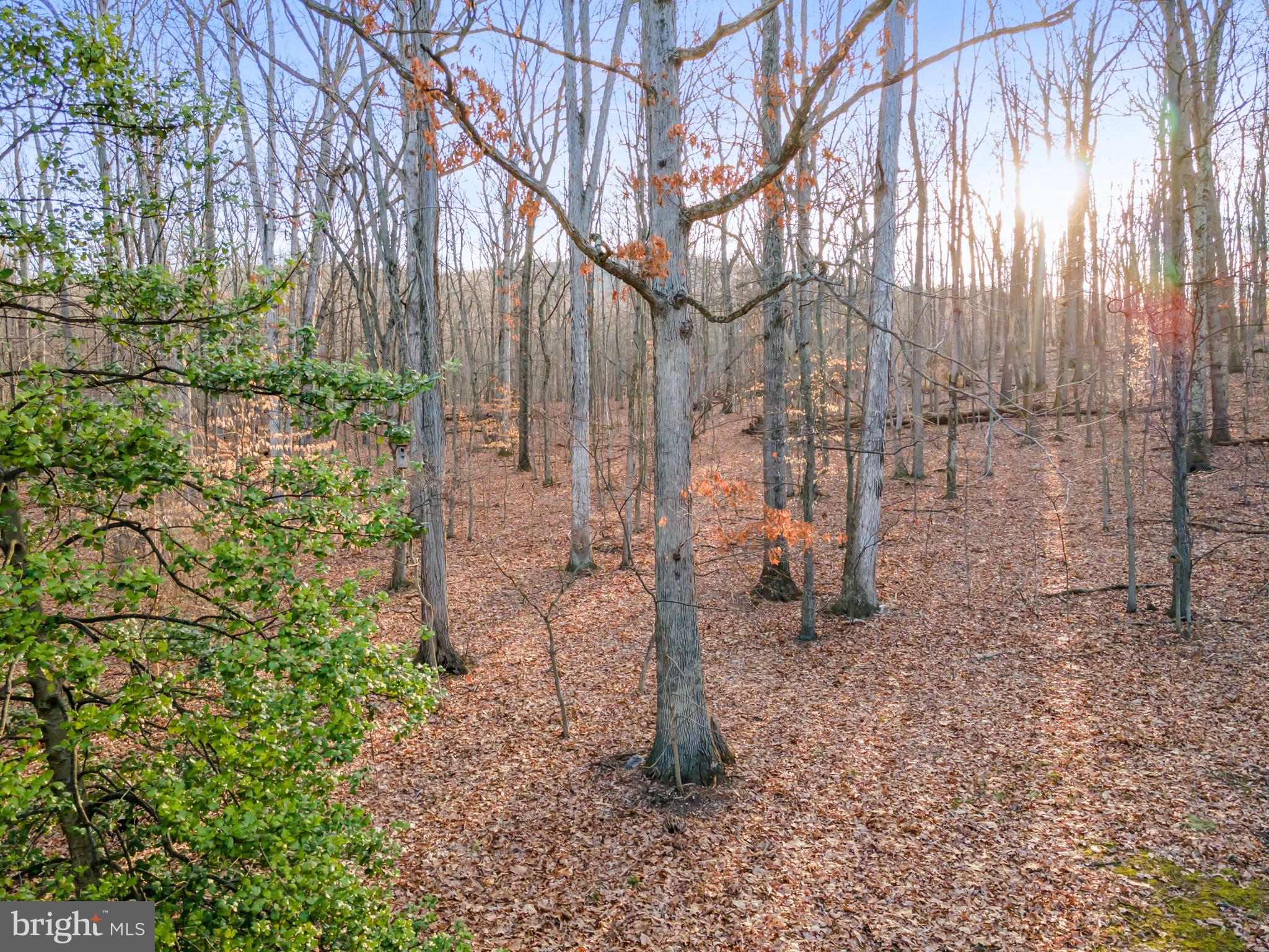 12333 Mummert Road Clear Spring, MD 21722 - Photo 4 of 48