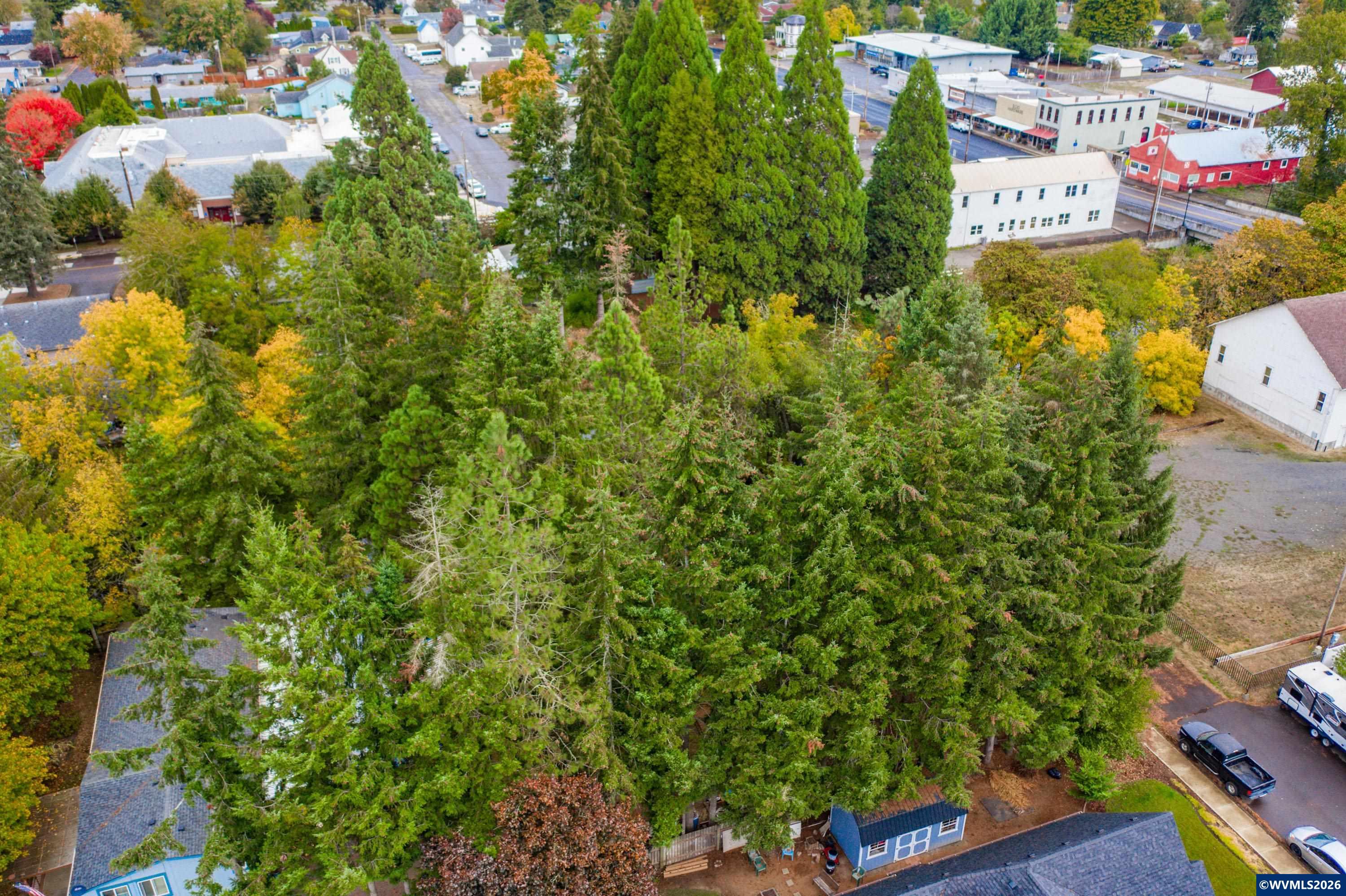 Lot 030100 Southwest Beech Street Scio, OR 97374 - Photo 6 of 41