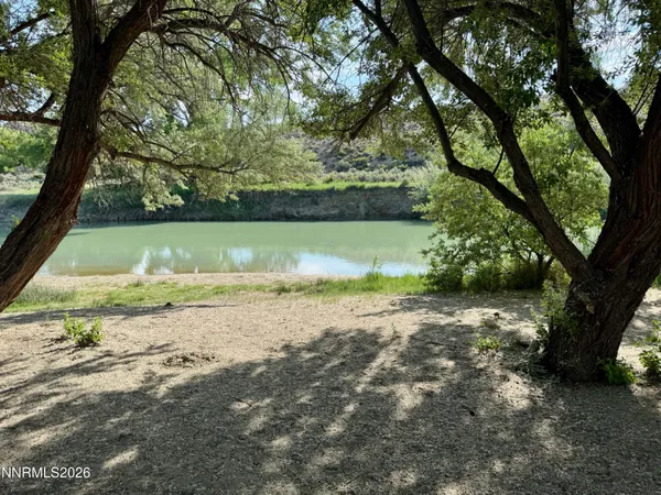 a view of a yard with an tree