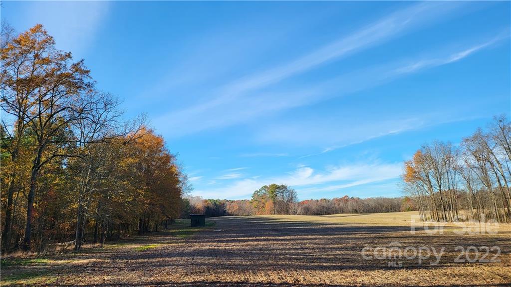 3518 Upper White Store Road Peachland, NC 28133 - Photo 7 of 33 a view of a yard with an outdoor space