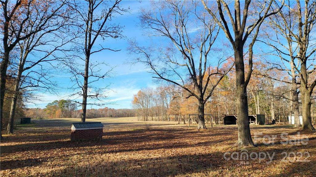 3518 Upper White Store Road Peachland, NC 28133 - Photo 8 of 33 a view of yard with tree s