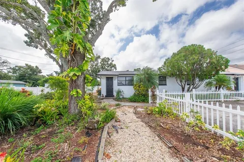 a view of a garden with a tree