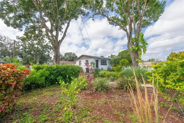 a view of a yard with plants