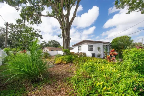 a view of a yard with plants and a large tree