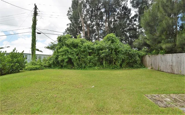 a view of a field with a tree in the background