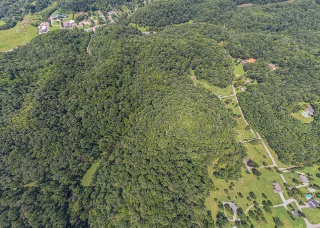 a view of an ocean and a yard