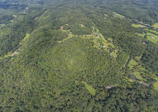 a view of a big yard with large trees