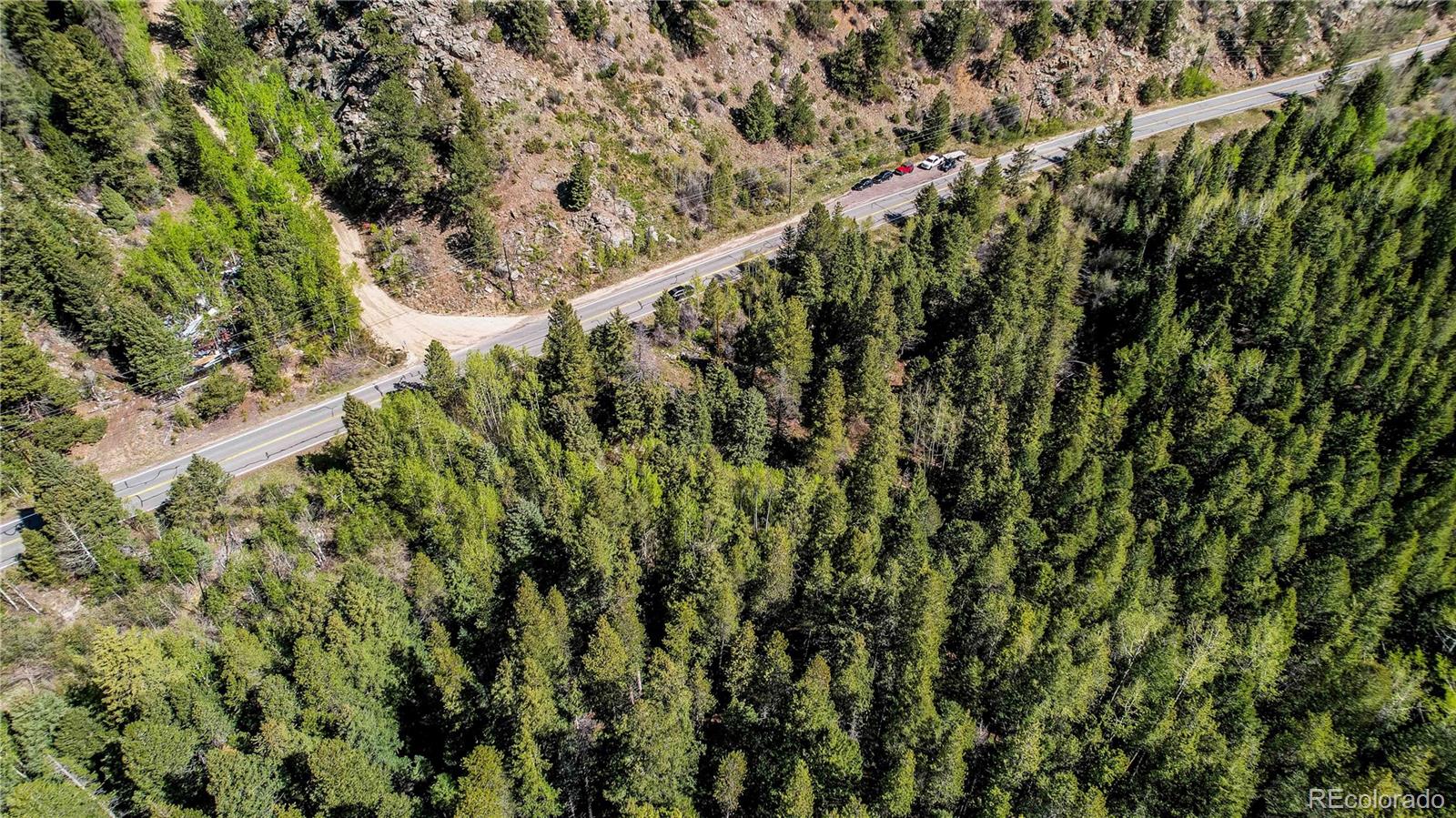 103 Cascade Creek Road Idaho Springs, CO 80452 - Photo 23 of 40 a view of a forest with a tree