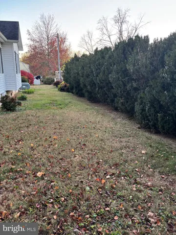 a view of a field with plants and trees