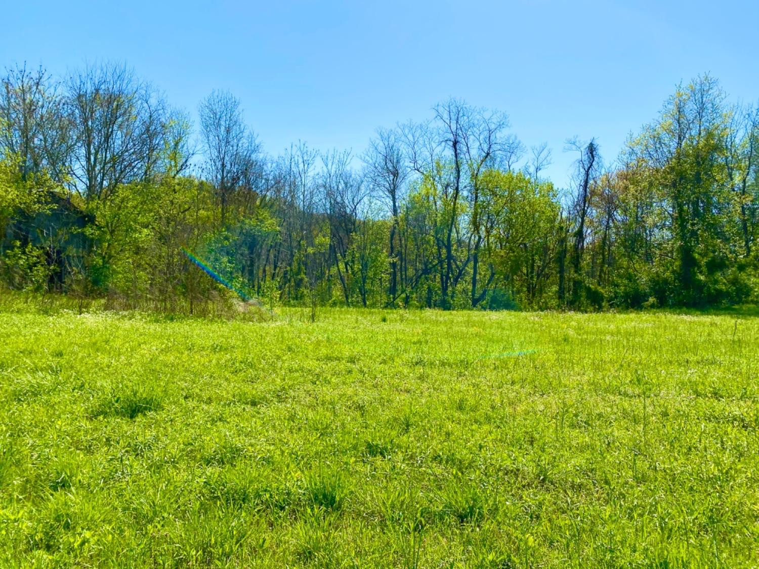 999 Dripping Springs Road Glasgow, KY 42141 - Photo 3 of 8 Photo 3