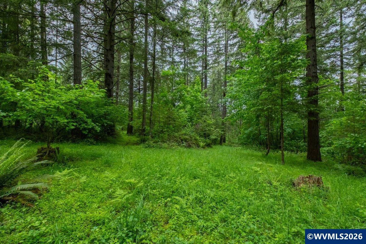 0057485 Next To 40587 Baptist Church Road Lebanon, OR 97355 - Photo 12 of 38