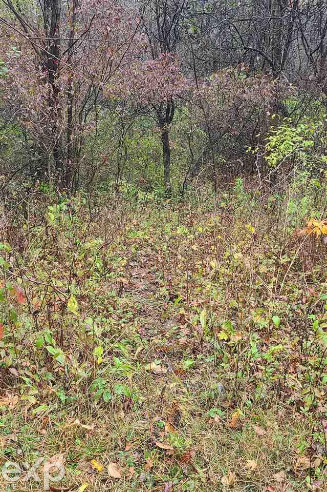 7066 Cribbins Road Jeddo, MI 48032 - Photo 25 of 34 50060276-24.JPG