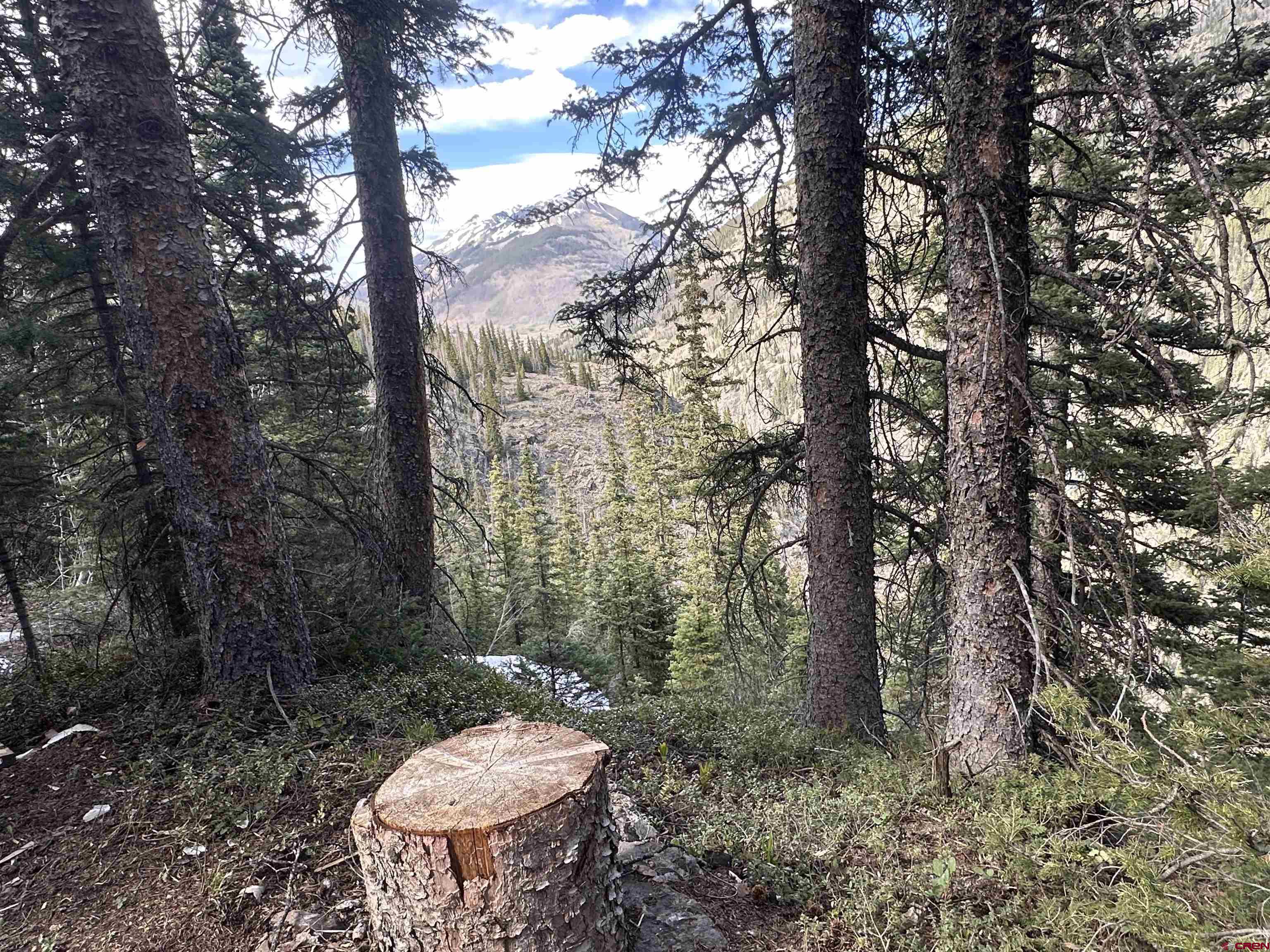 550 Highway 550 Durango, CO 81301 - Photo 4 of 6 a view of a backyard with plants and trees