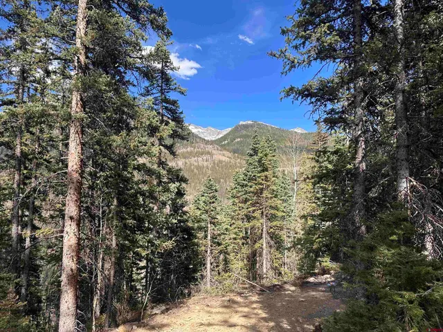 a view of mountain view with lots of trees