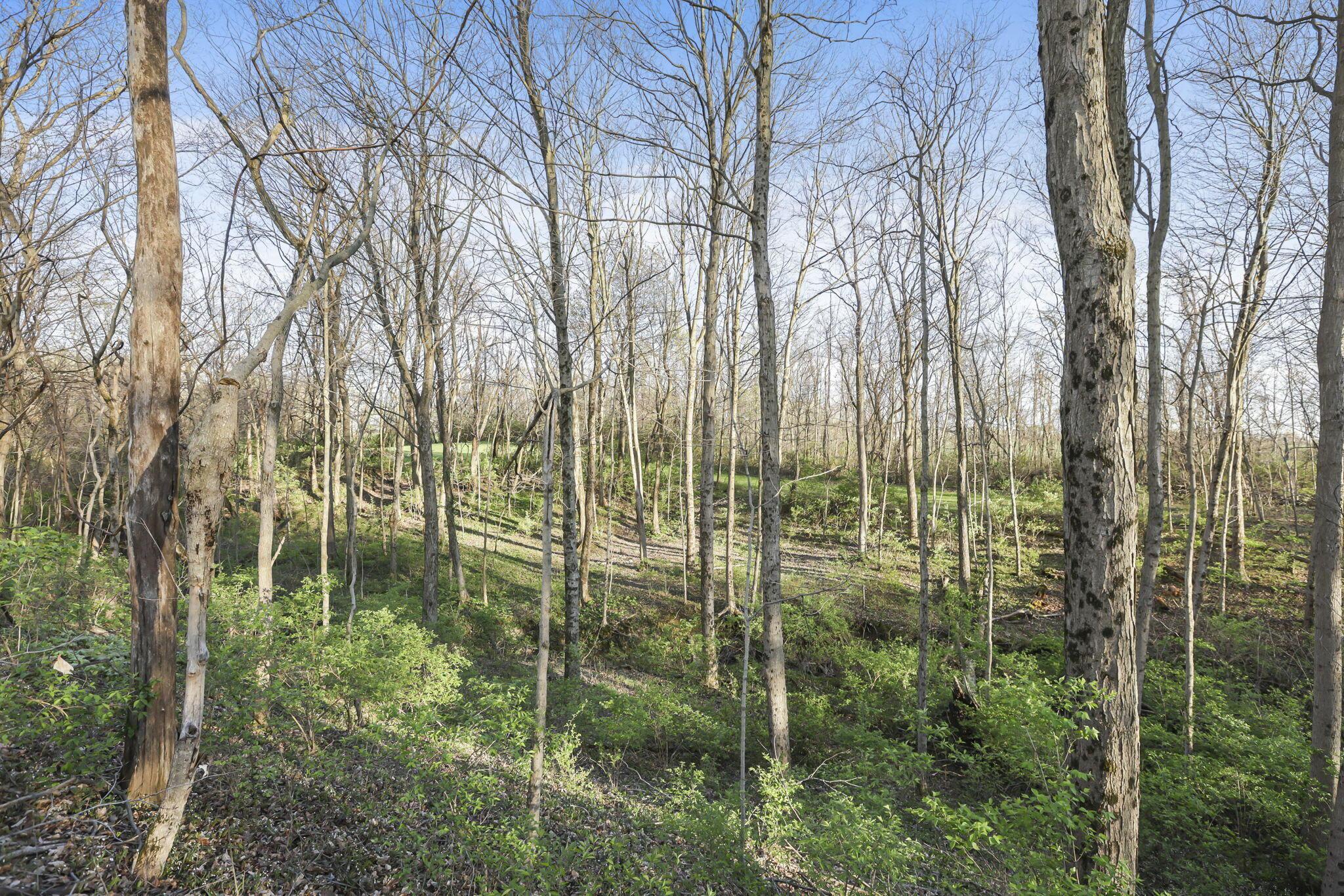 6164 Heigle Road Southwest Amanda, OH 43102 - Photo 5 of 43 1-web-or-mls-939A0121