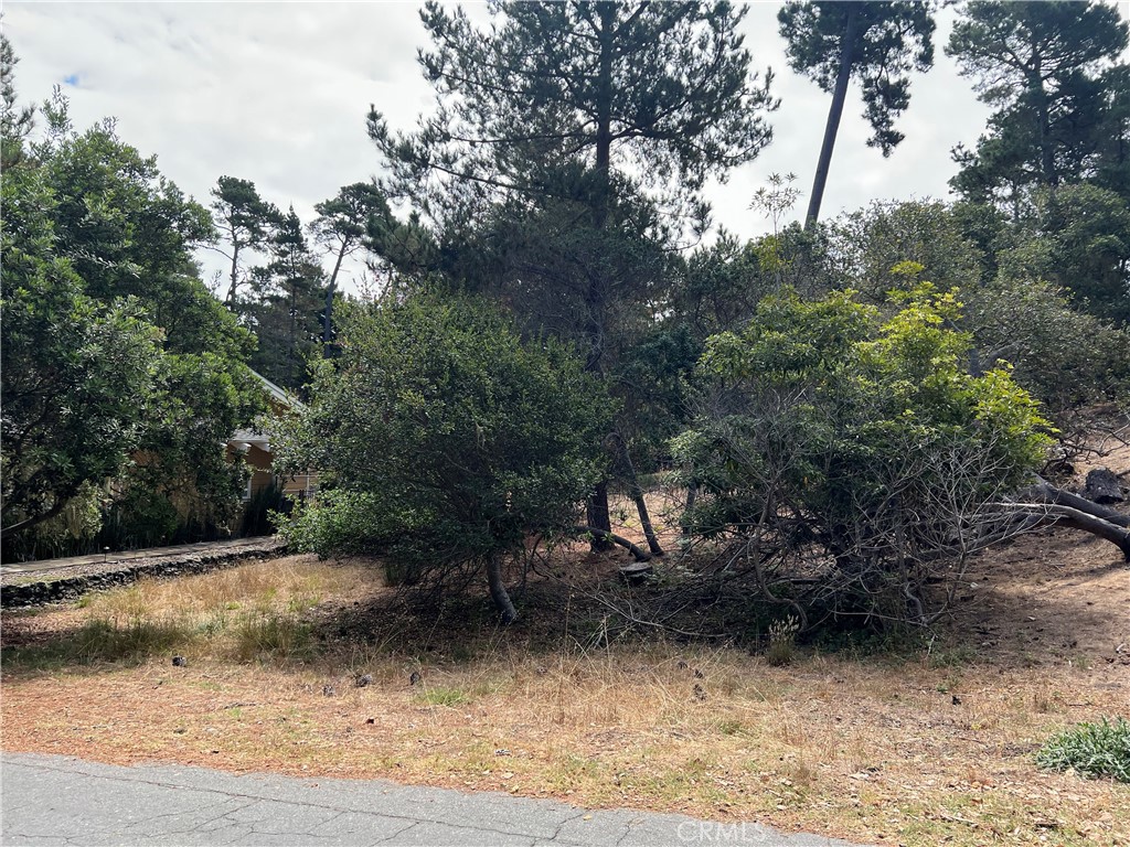 1280 Warren Road Cambria, CA 93428 - Photo 12 of 14 Gallery Image 12