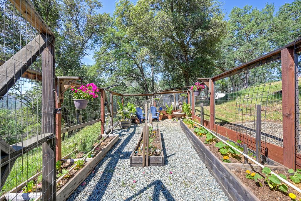 3716 Murphy Ranch Road Placerville, CA 95667 - Photo 73 of 87