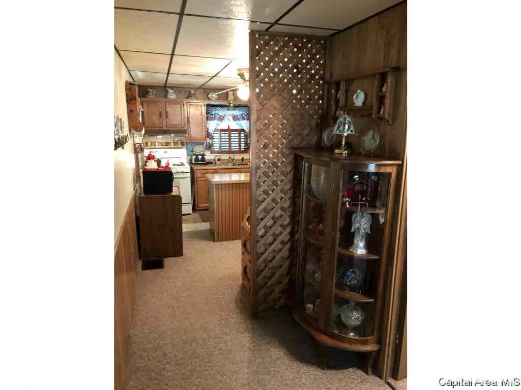 102 East Union Street Virginia, IL 62691 - Photo 11 of 36 Gallery Image 11