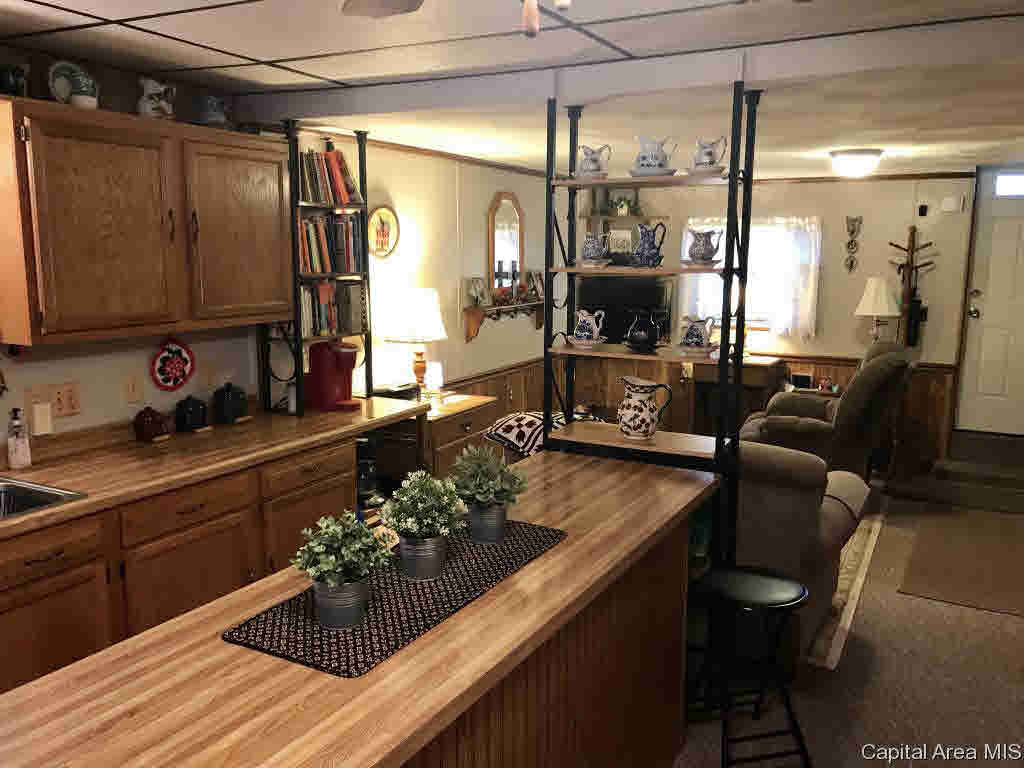 102 East Union Street Virginia, IL 62691 - Photo 15 of 36 Gallery Image 15