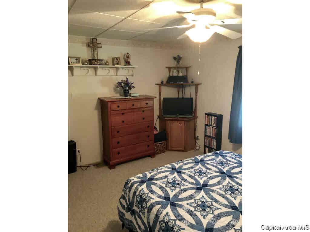 102 East Union Street Virginia, IL 62691 - Photo 20 of 36 Gallery Image 20