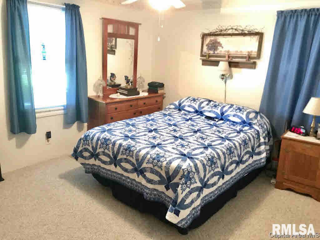 102 East Union Street Virginia, IL 62691 - Photo 21 of 36 Gallery Image 21