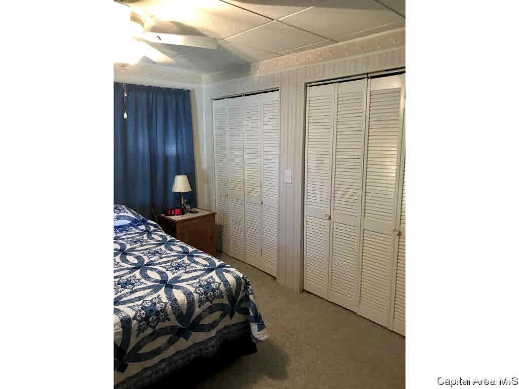 102 East Union Street Virginia, IL 62691 - Photo 22 of 36 Gallery Image 22