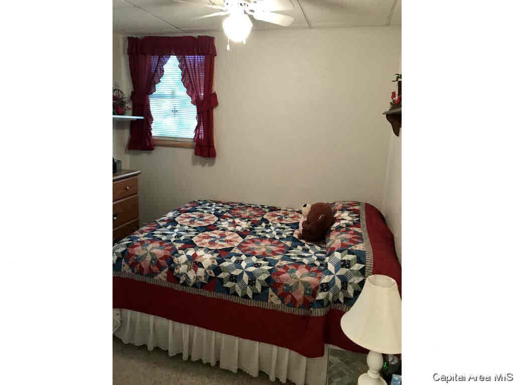102 East Union Street Virginia, IL 62691 - Photo 24 of 36 Gallery Image 24