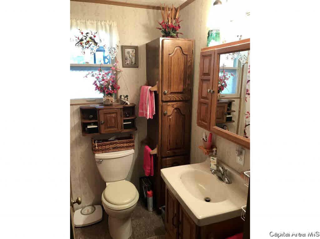 102 East Union Street Virginia, IL 62691 - Photo 25 of 36 Gallery Image 25