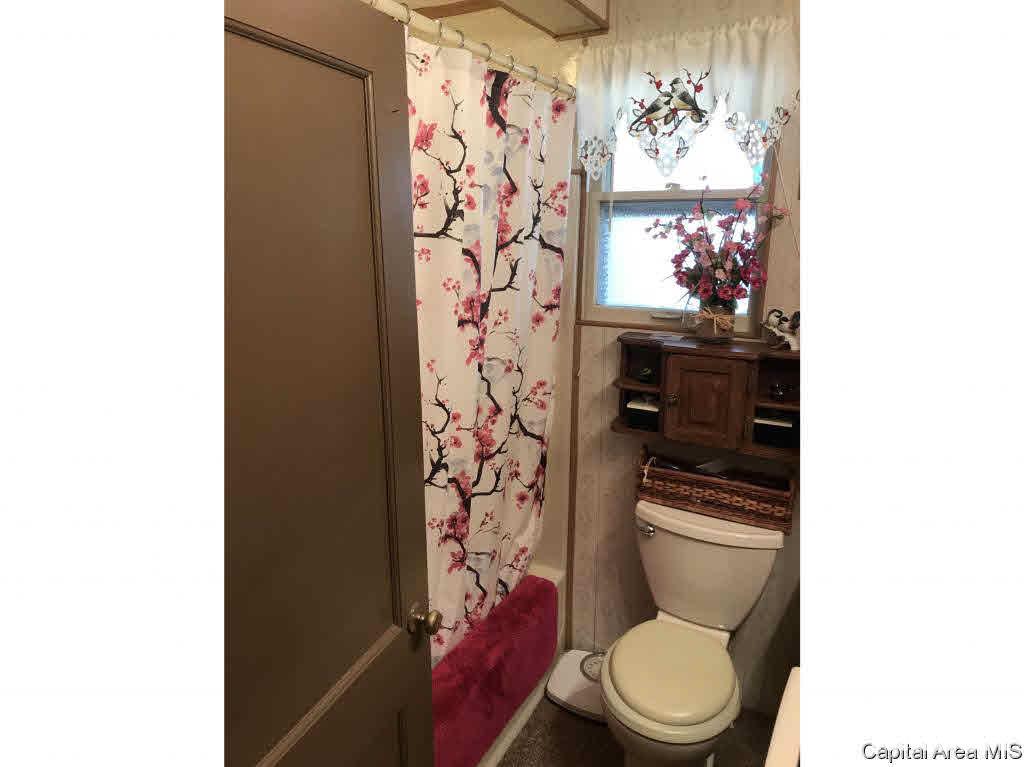 102 East Union Street Virginia, IL 62691 - Photo 26 of 36 Gallery Image 26