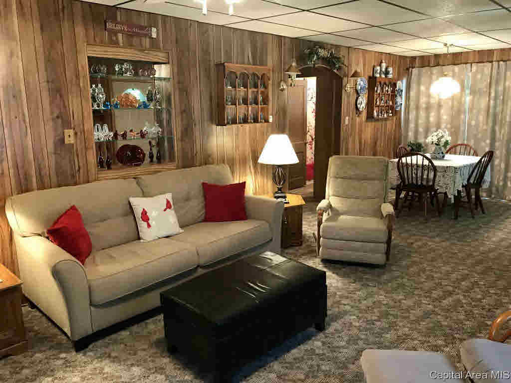102 East Union Street Virginia, IL 62691 - Photo 8 of 36 Gallery Image 8